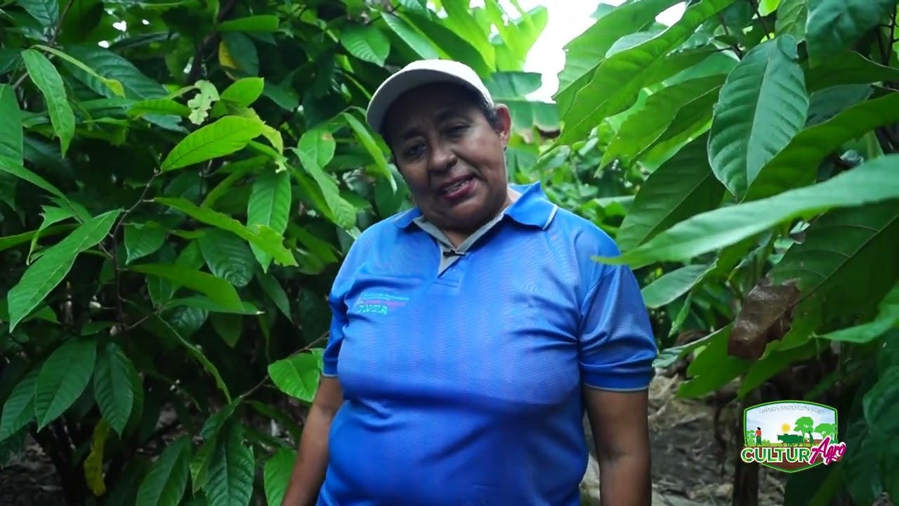 Poda en el cultivo de Cacao