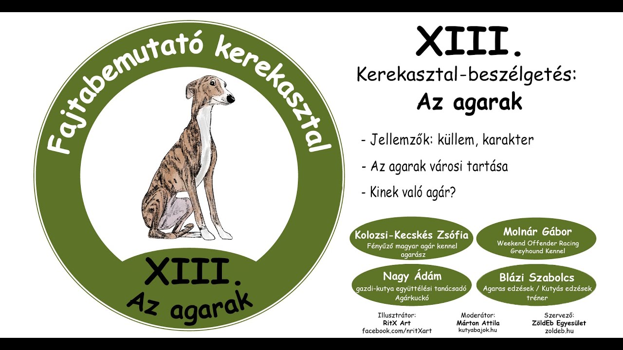 XIII. Fajtabemutató kerekasztal: Az agarak