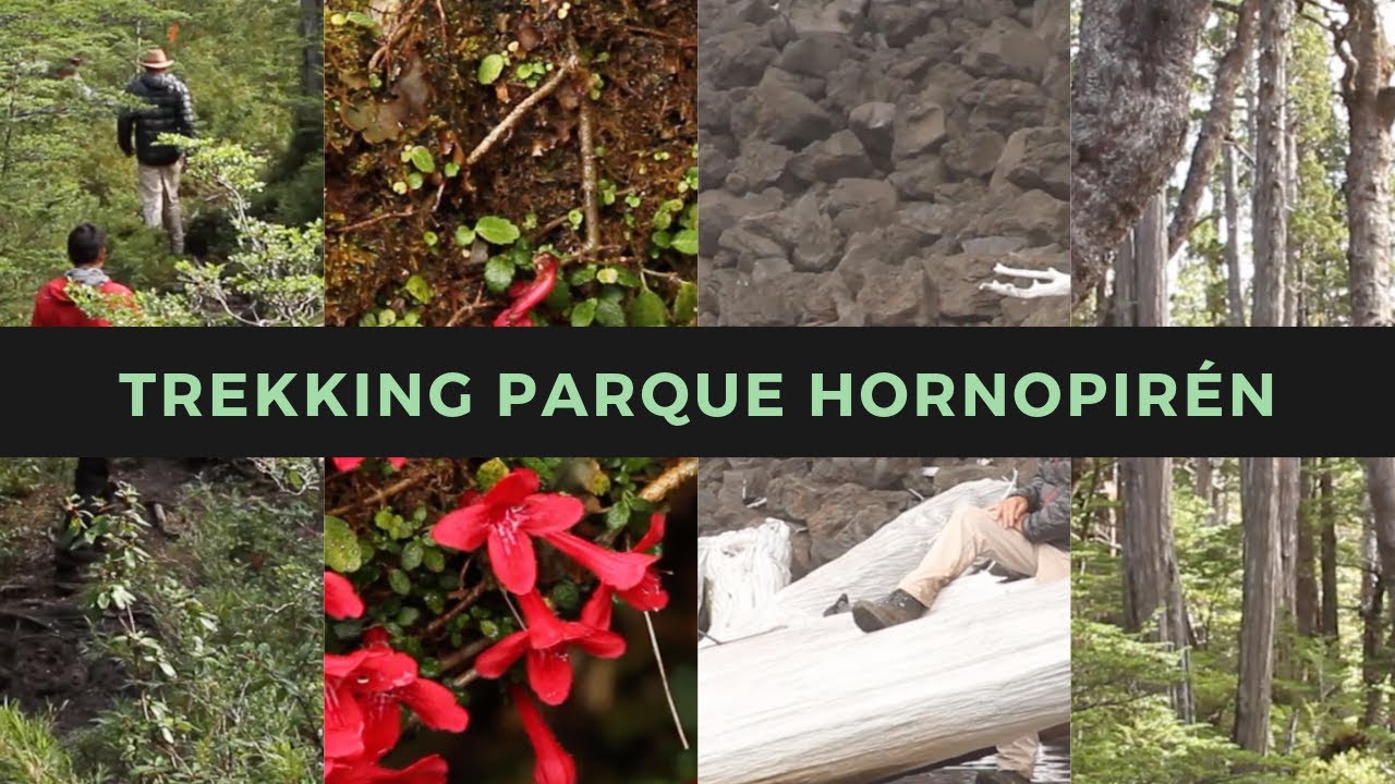 Trekking en Chile - Viaje al Parque Nacional Hornopir&eacute;n - Carretera Austral