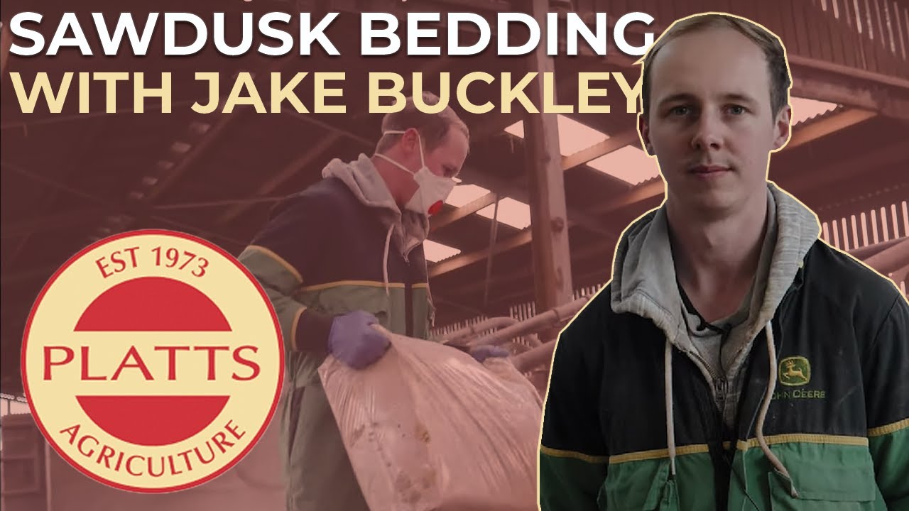 How To Use Platts Sawdust Bedding - Jake Buckley