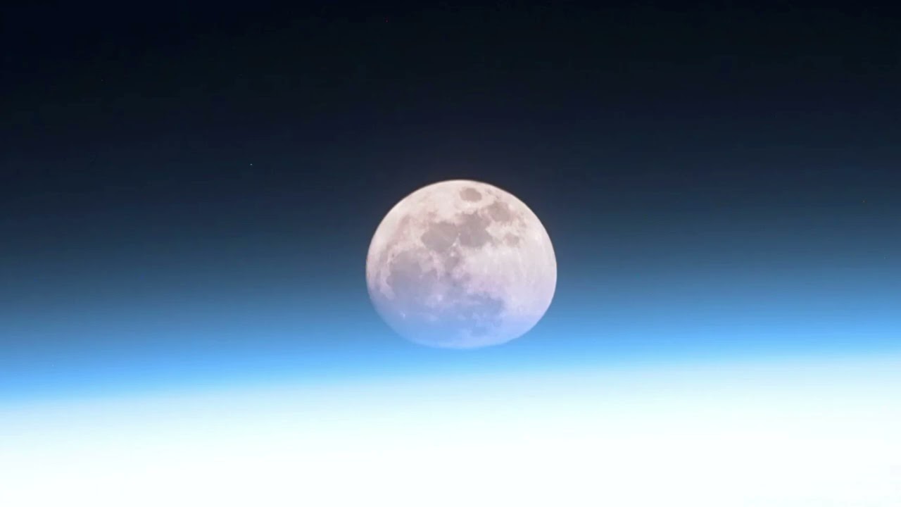 BLUE MOON 