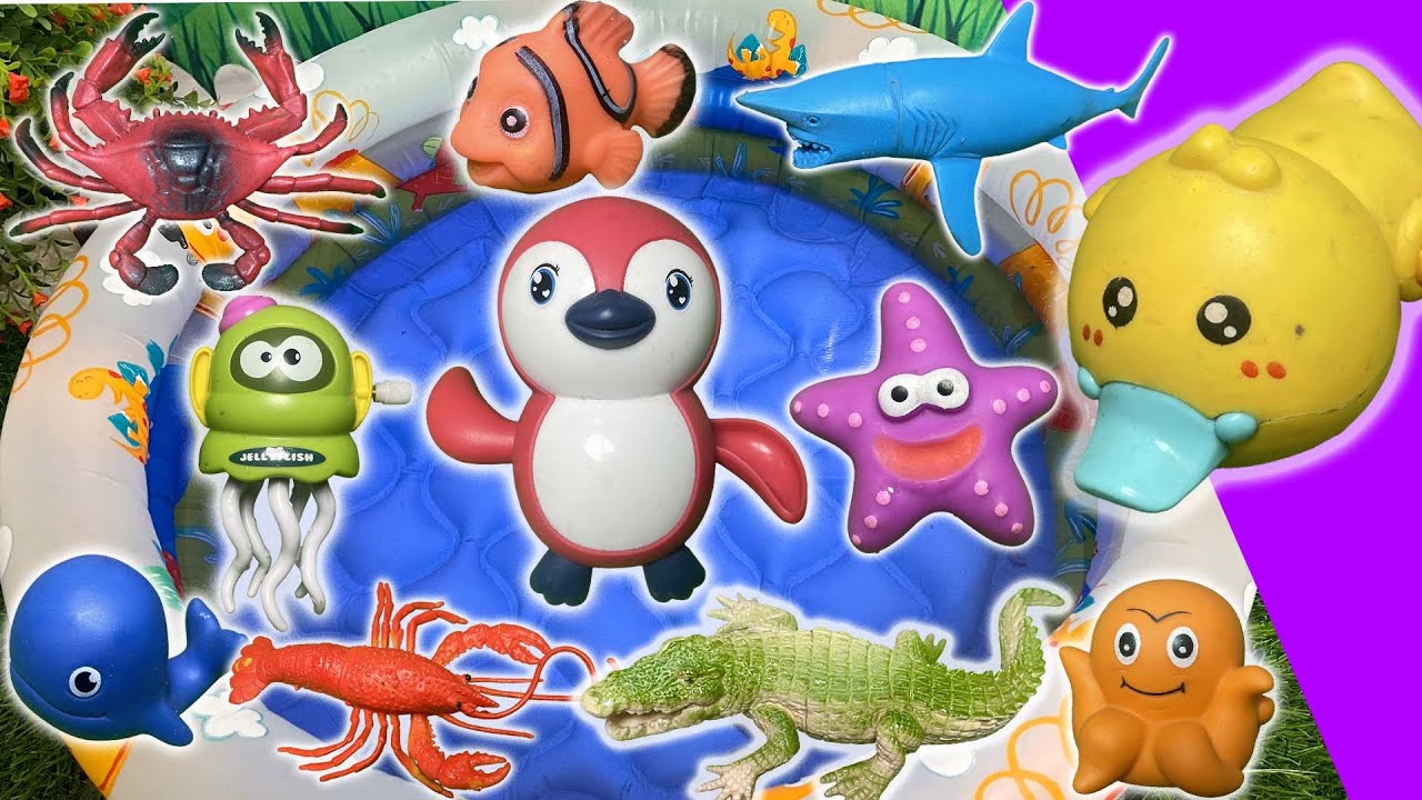 Ocean Animals Toy Surprise! Learn Sea Creature Names & Fun Facts for Kids  @ed-bot-TV ​