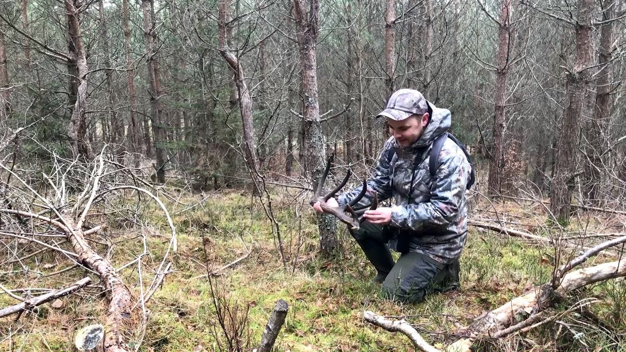 Zrzuty 2019 - Piękny ciemny czternastak oraz &oacute;smak.