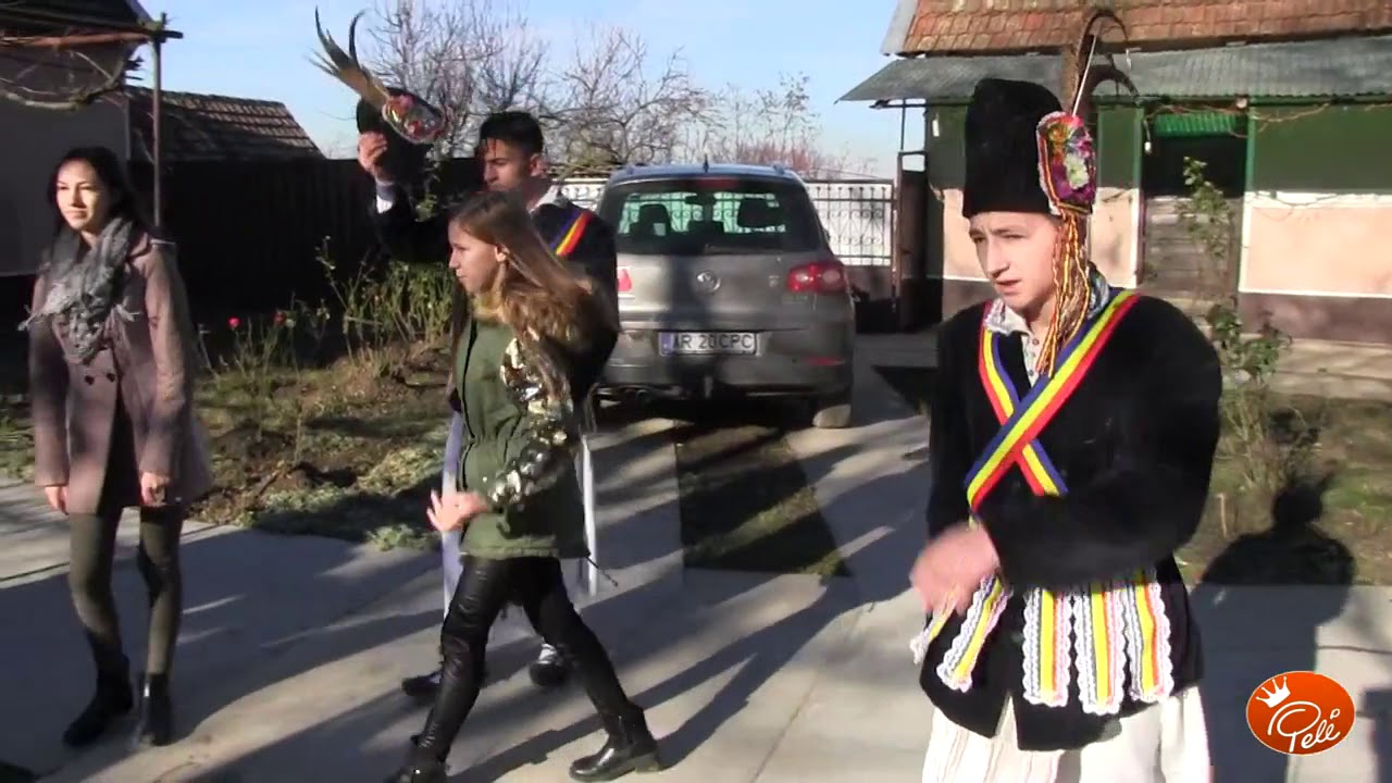 Călușari   Șicula 2017