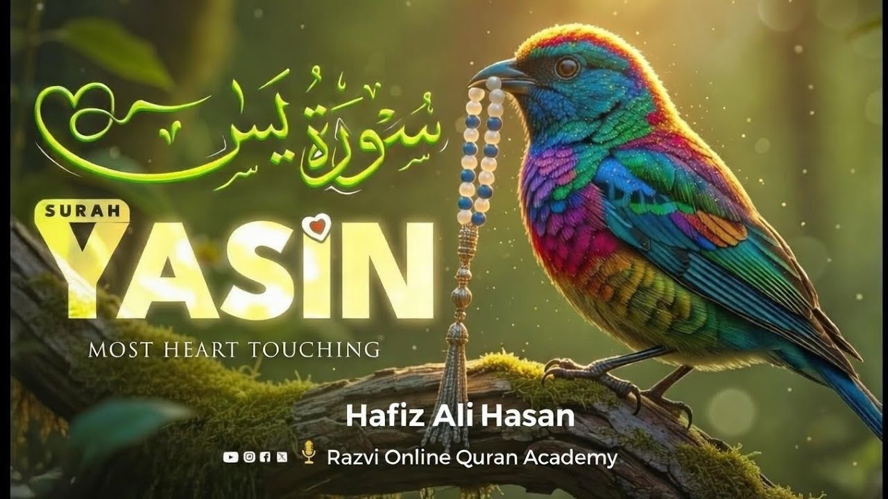 Surah Yasin Full Recitation with Tajweed | English Translation & Benefits | Heart of the Quran