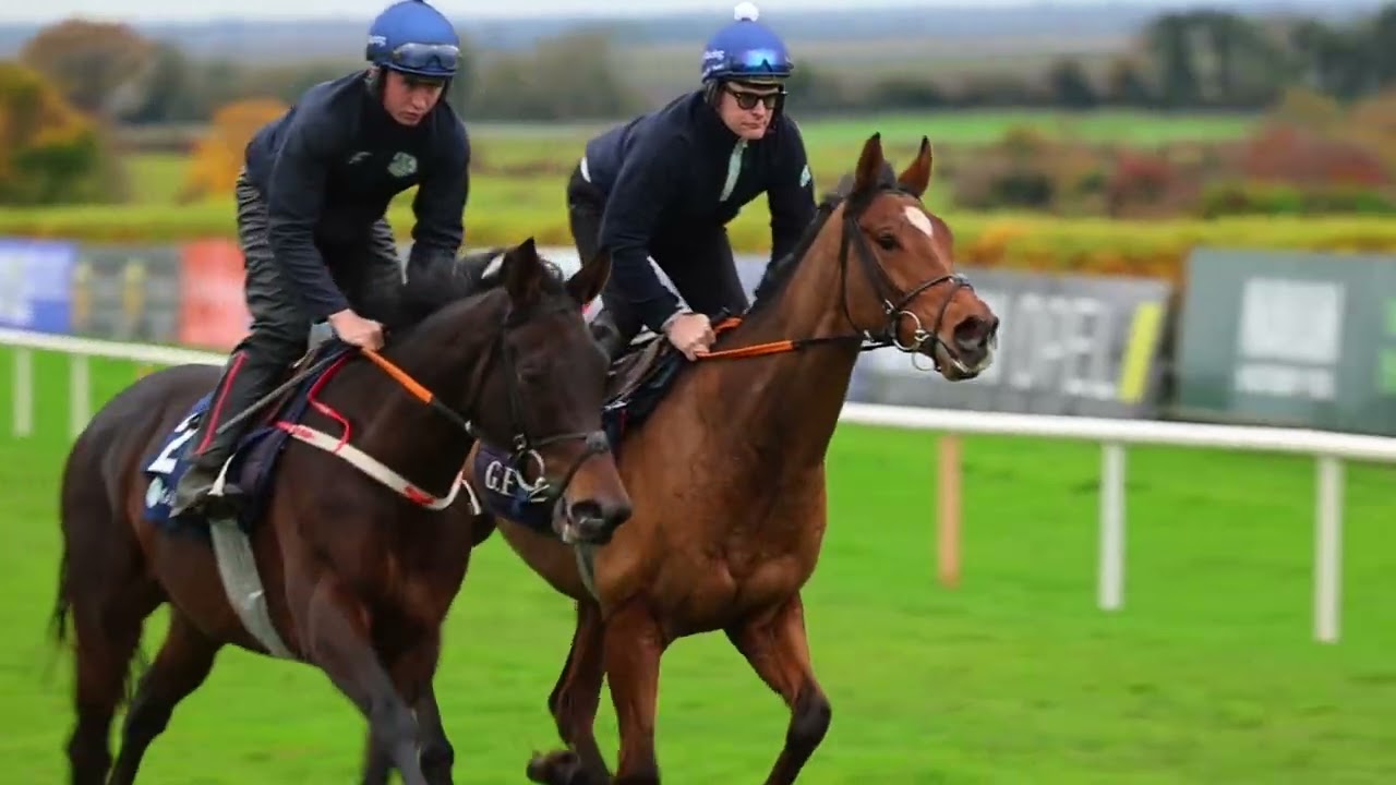 Lisa O'Neill of Gordon Elliott Racing Interview | Navan Racing Festival