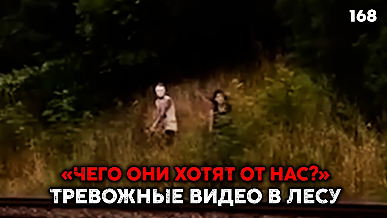 6 РЕАЛЬНЫХ ТРЕВОЖНЫХ СЛУЧАЕВ В ЛЕСУ