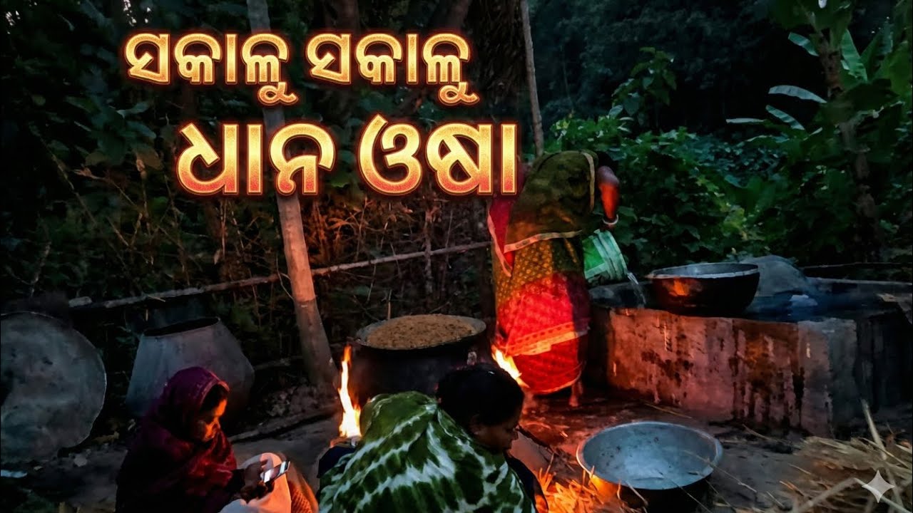 Aaji ସକାଳ ଭାରୀ ଥଣ୍ଡା ☃️🧊@jena.kajol1998 