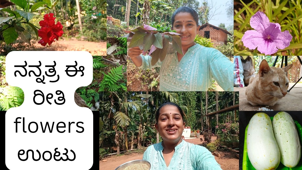 ನಾನು ಎಲ್ಲೇ ಹೋದರೂ ಬೆನ್ನಿಗೆ ಬರೋ ಸಾರಥಿ ಇವ ನೋಡಿ 😍
