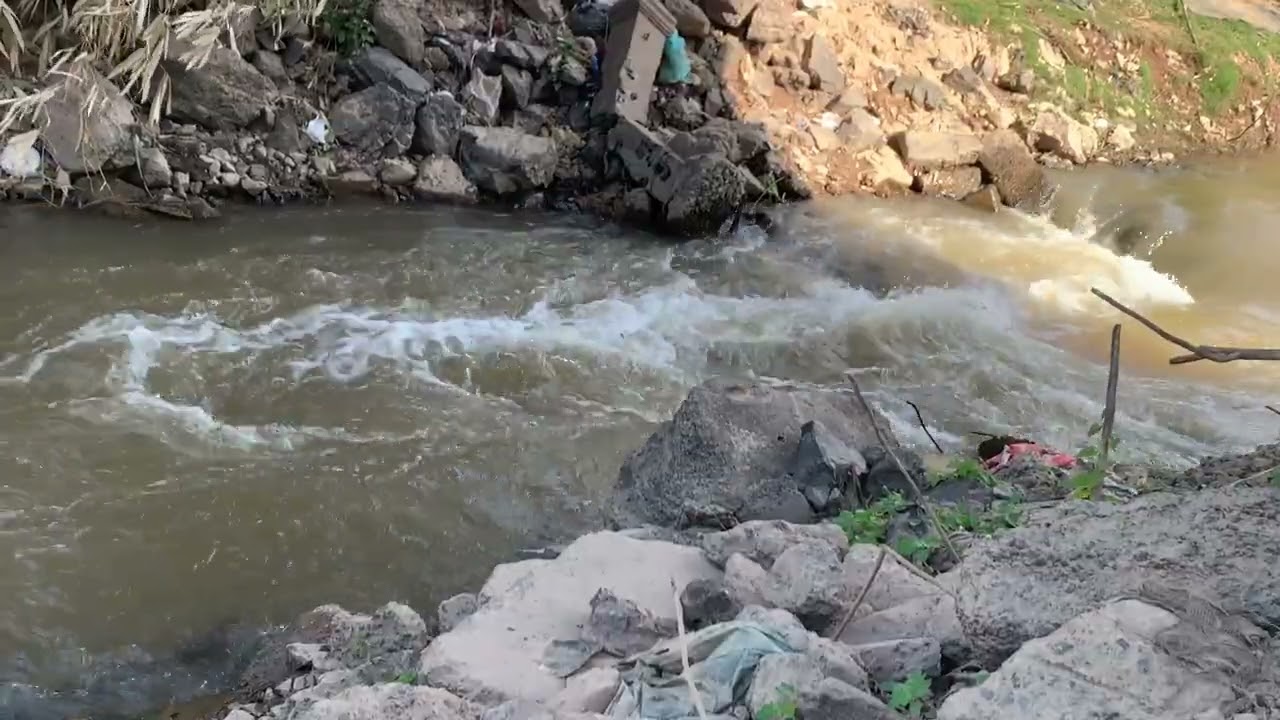 Soothing River Sounds for Sleep and Relaxation