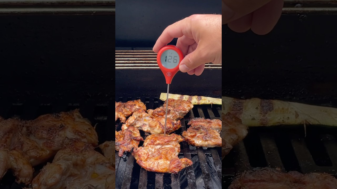Best Meat Thermometer? I Tested the Top Brands From $16 to $110