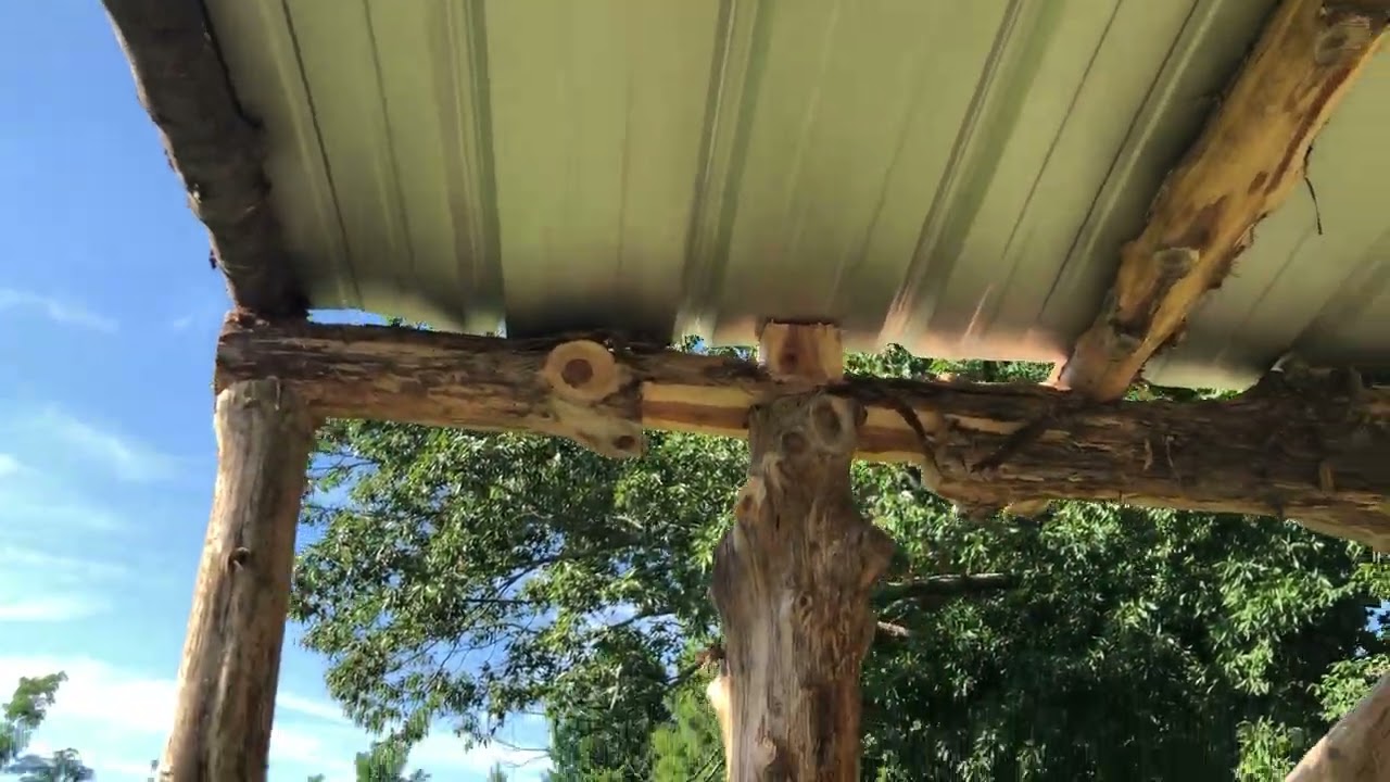 Round wood timber framing - first try