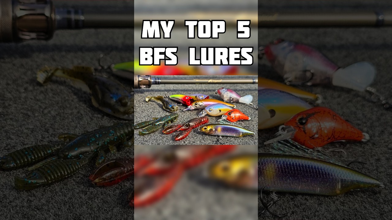 Best 5 bait Finesse (BFS) Bass Lures to Catch Big Bass. #fishing #bfs #top5