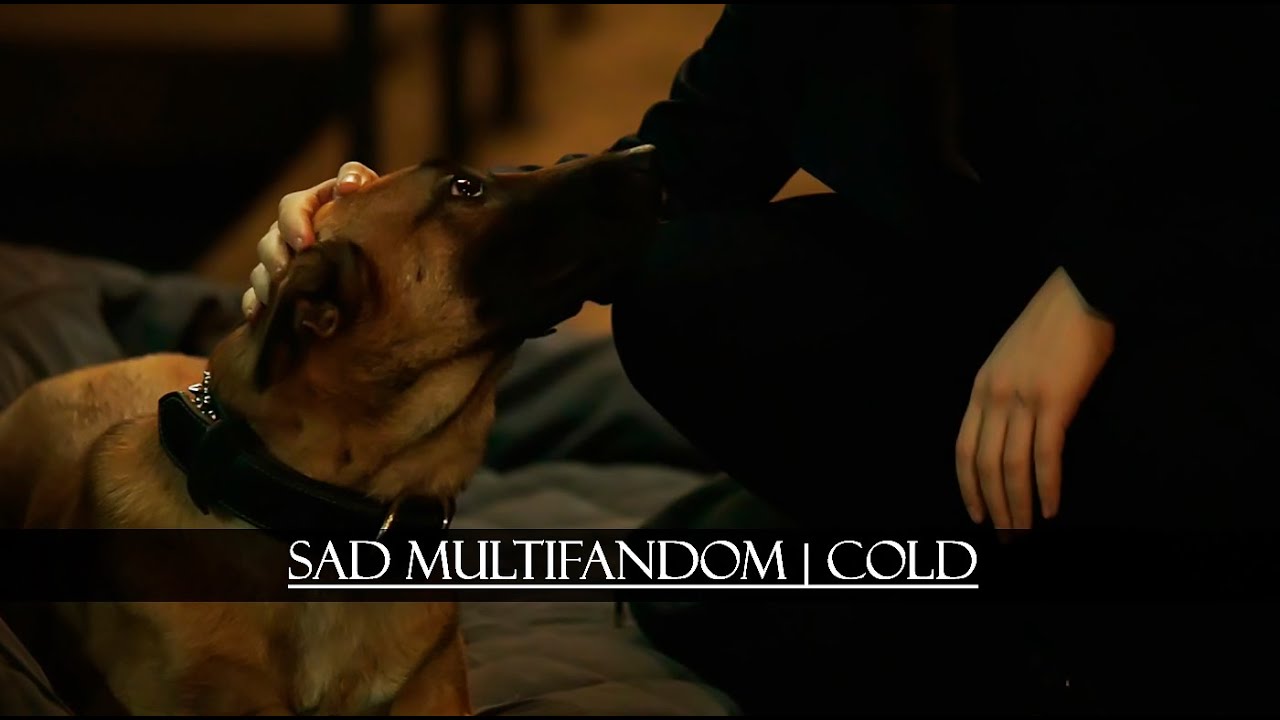 Sad Multifandom | Cold
