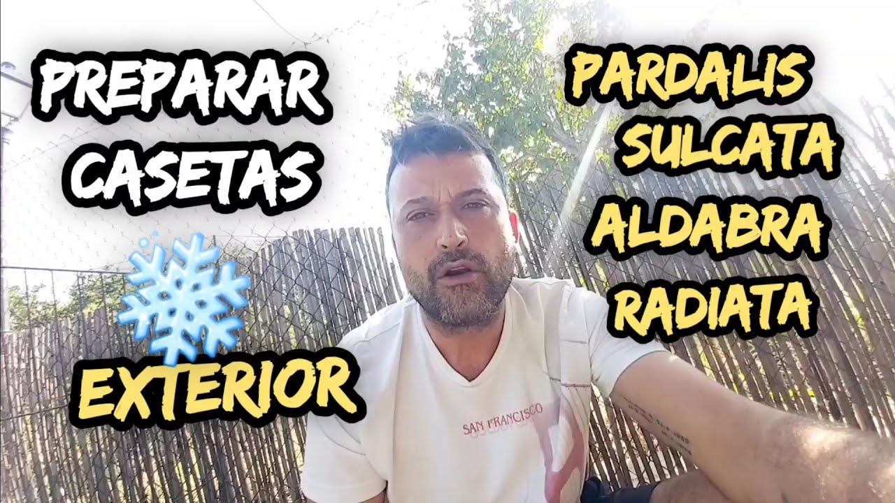 Preparar REFUGIO casetas EXTERIOR Tortugas que NO HIBERNAN#BRUMAR#SULCATA#PARDALIS#ALDABRA#