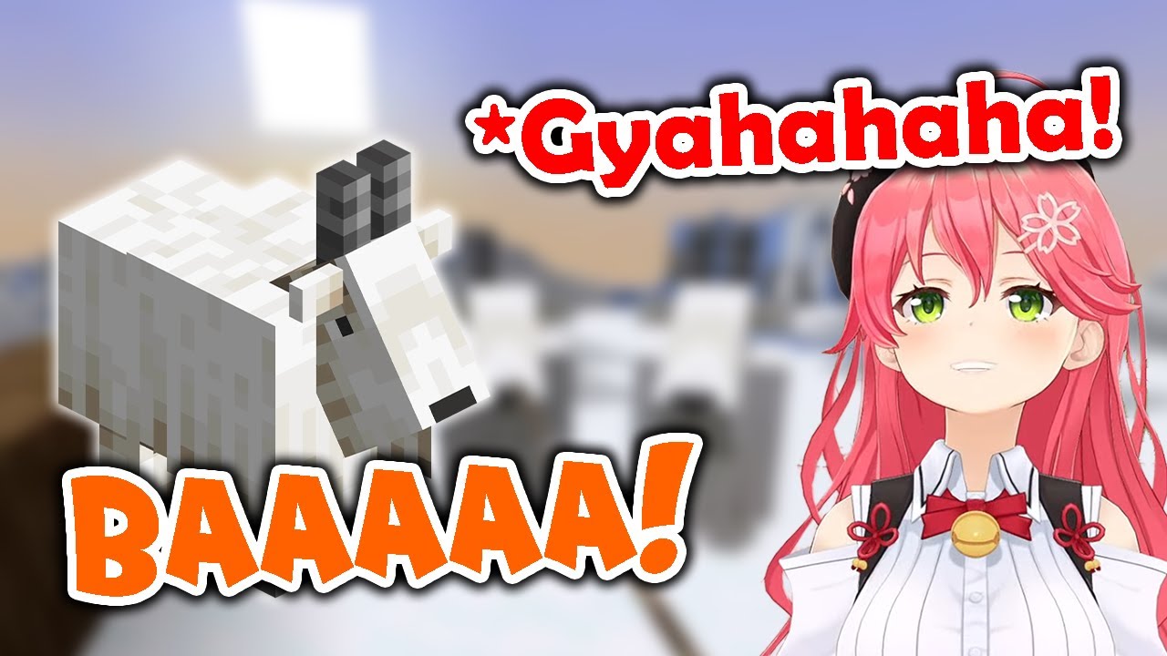 Miko can't stop laughing hearing the goat's scream