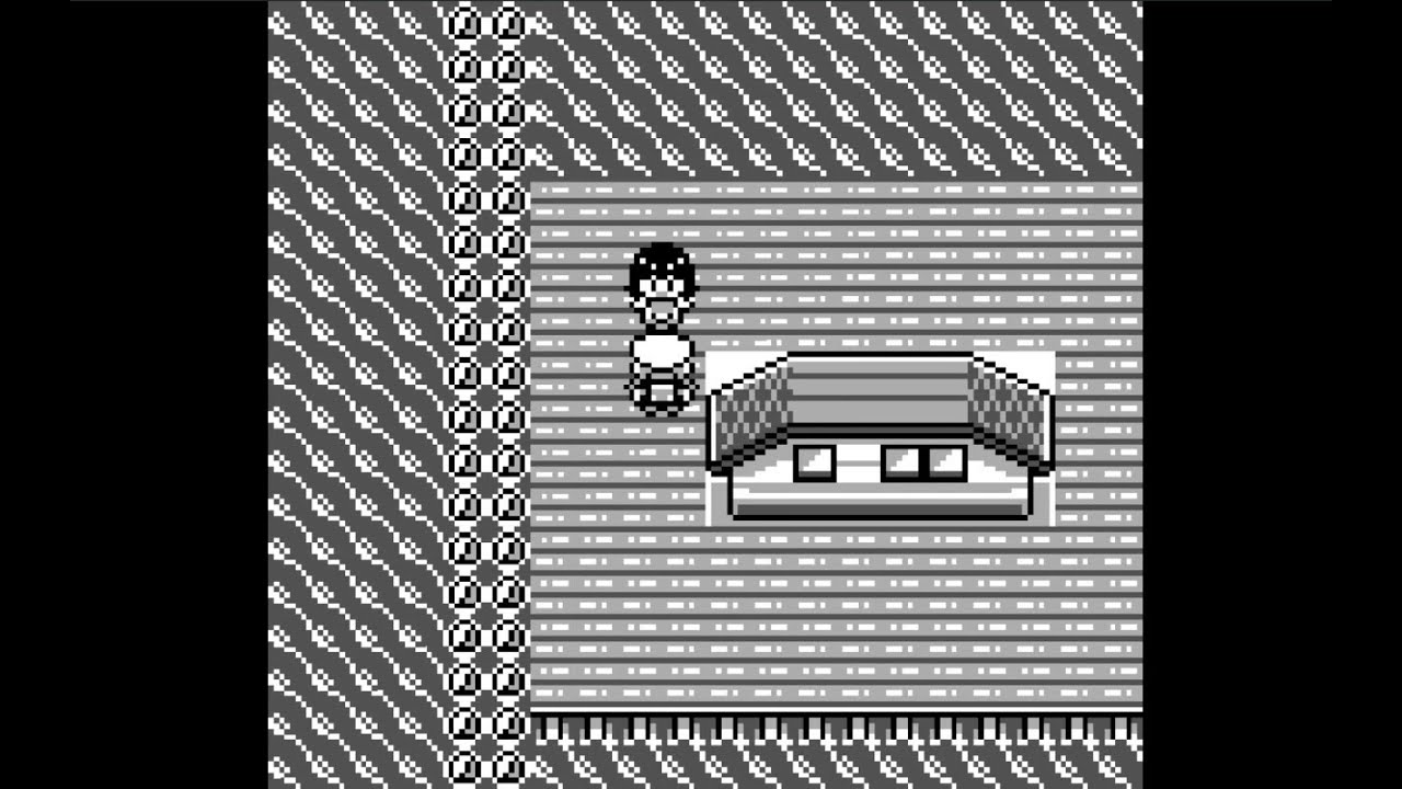Pokemon Brown 20th Anniversary Part 25 Seashore City Gym