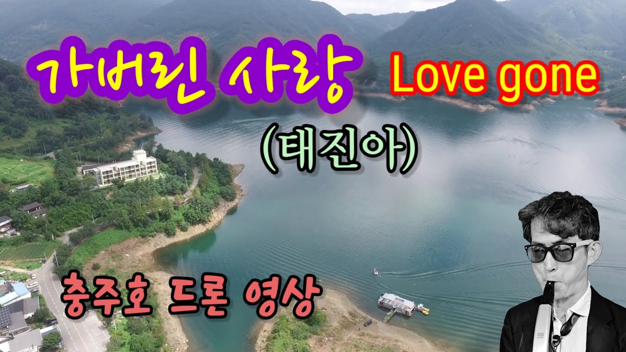 가버린 사랑(Love gone) / 태진아