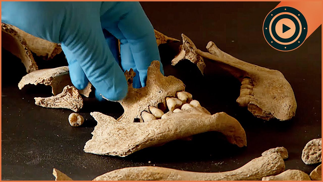 Were The First Humans British?