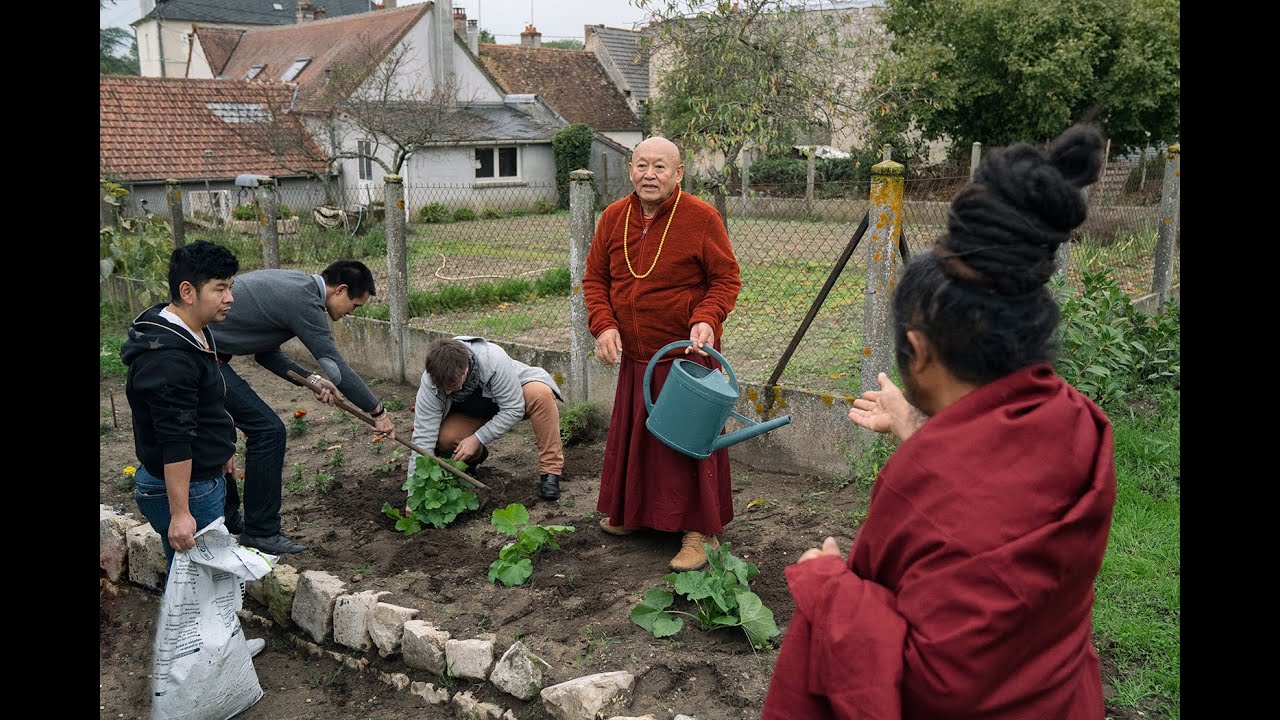 Taking care of the environment - Interview with His Holiness Drikung Kyabgön Chetsang - Mila Center