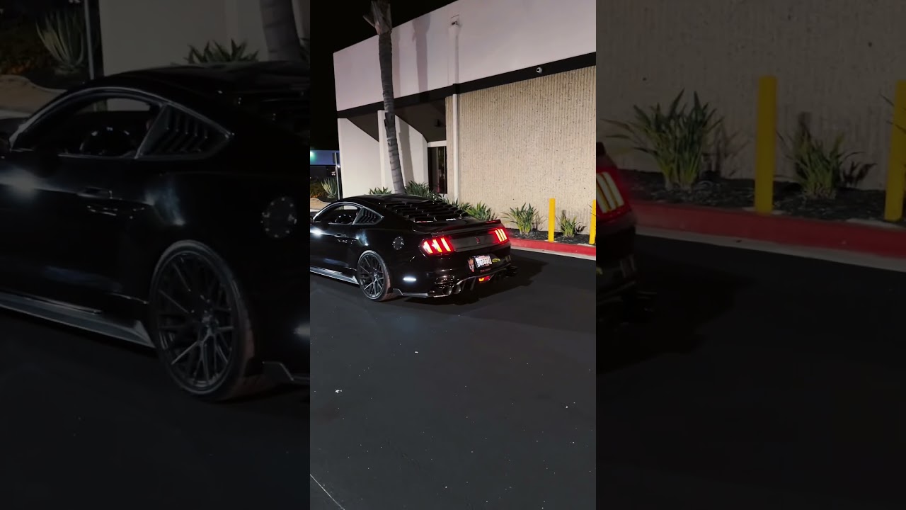 Mustang Gunshot Tune #mustang #mustanggt #hellcat #trackhawk #carmeet
