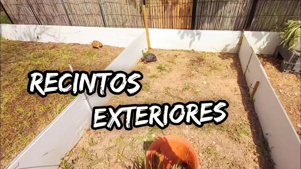como hacer recinto exterior para tortugas mediterránea graeca sulcata pardalis aldabra 1part
