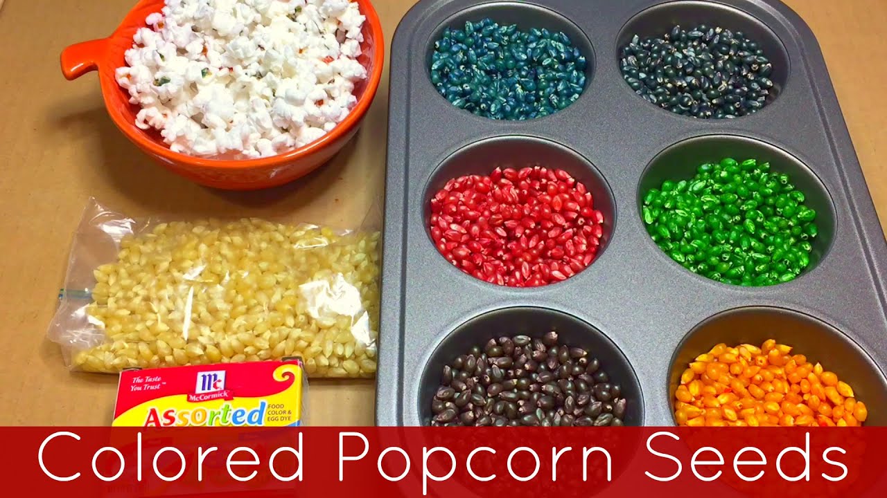 How To Color Popcorn Seeds -  Preschool and Kindergarten