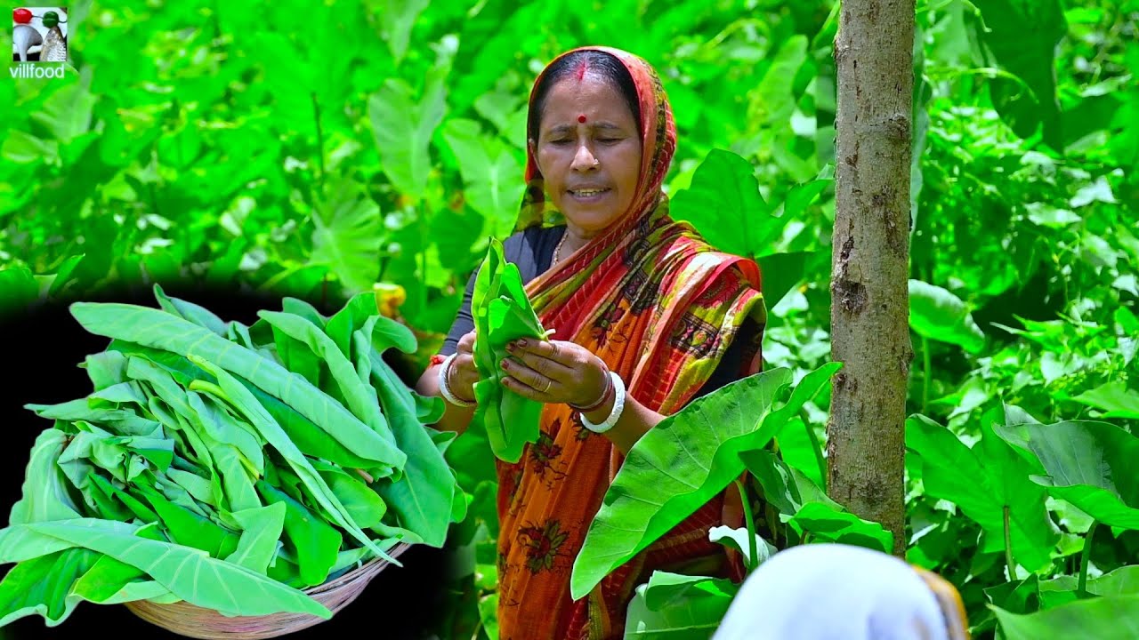কচি কচি কচু পাতা তুলে নারকোল দিয়ে দারুন স্বাদের কচু পাতা ভাজা | village style Kochu pata vaja recipe