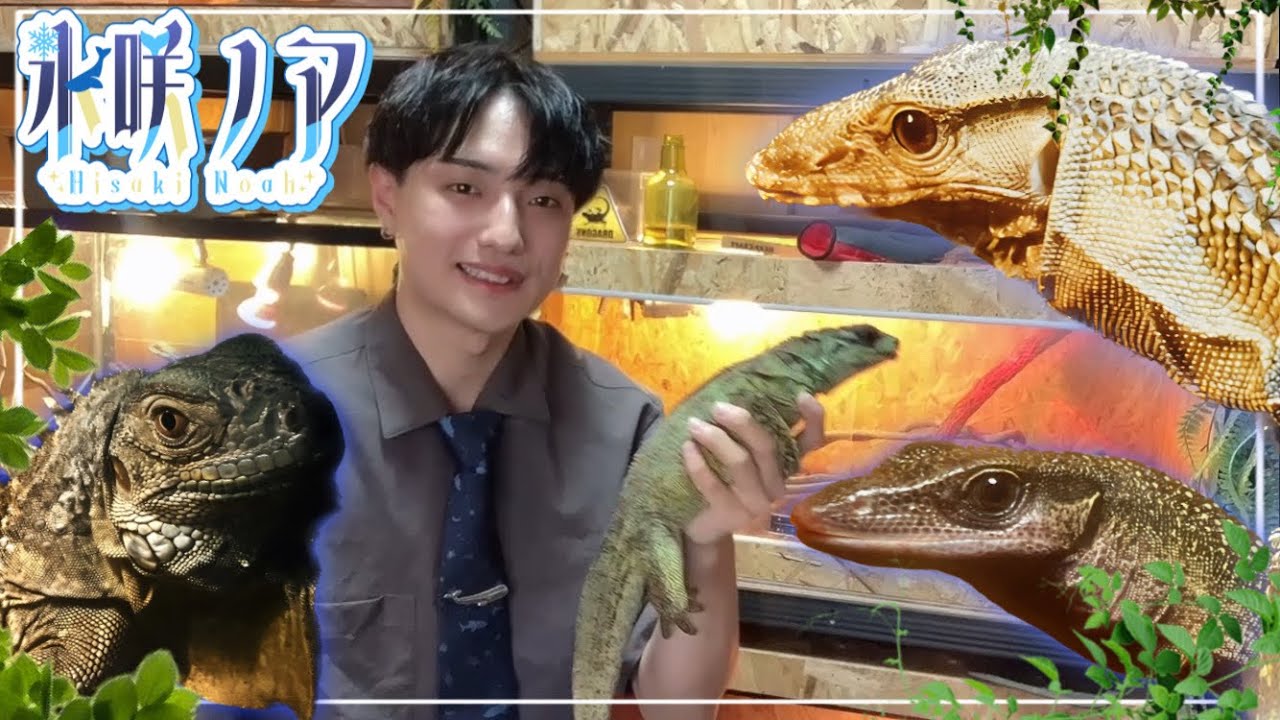 【我が家のドラゴン大集合】何十種類の竜達と暮らす多分VTuberの人。