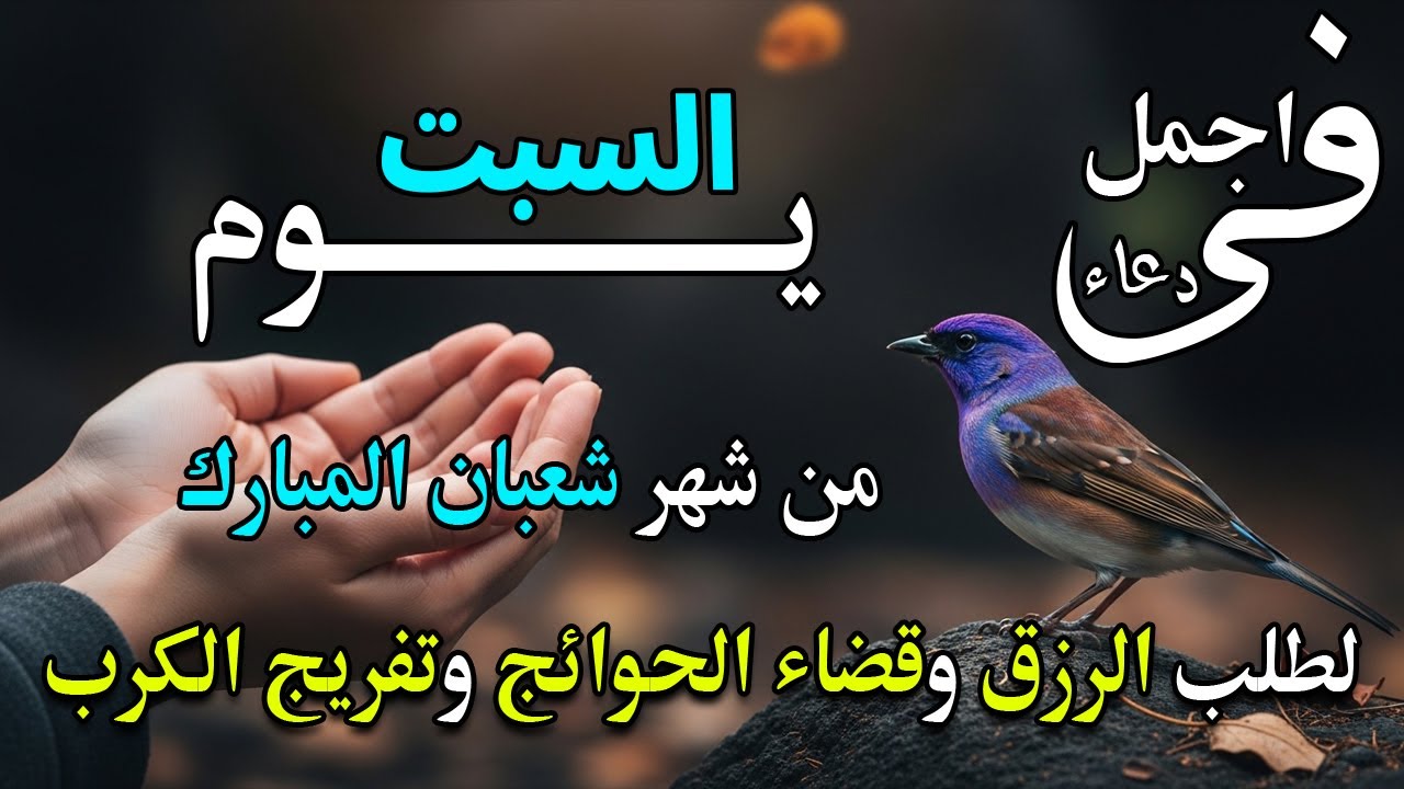 دعاء فى يوم السبت المستجاب دعاء في يوم 19 من شهر شعبان للرزق والشفاء العاجل وقضاء الحوائج 🤲(4k)
