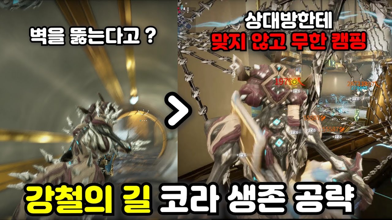워프레임 강철의 길 스틸 에센스 파밍 막히기 전에 코라로 꿀빨자