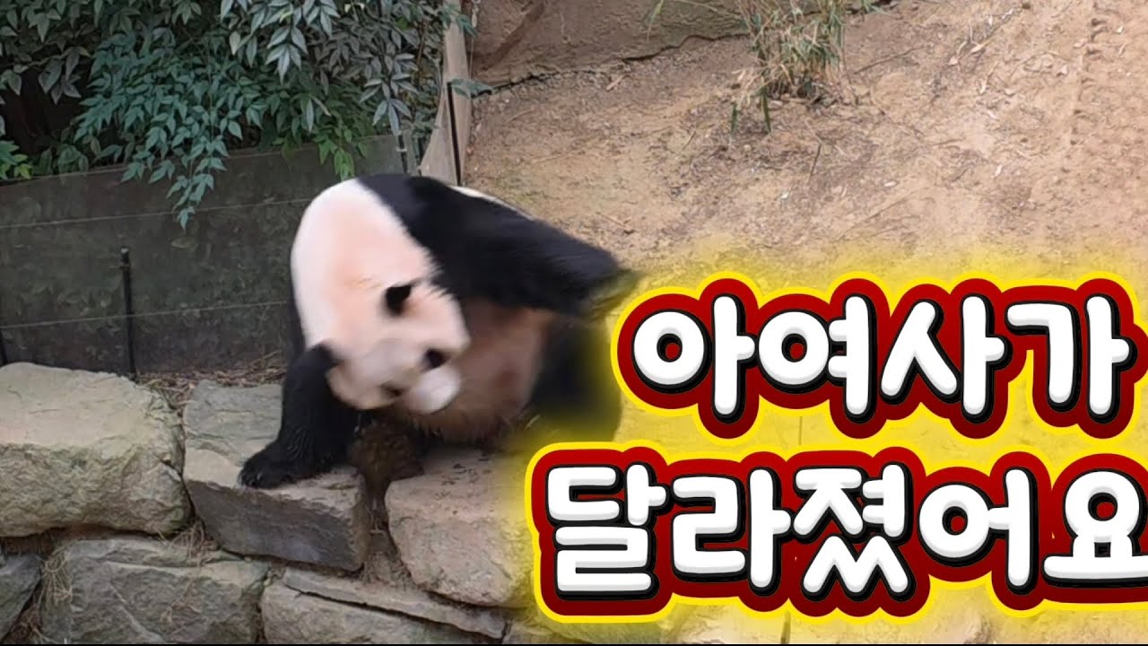 2026.01.22. 아여사가 달라졌어요!