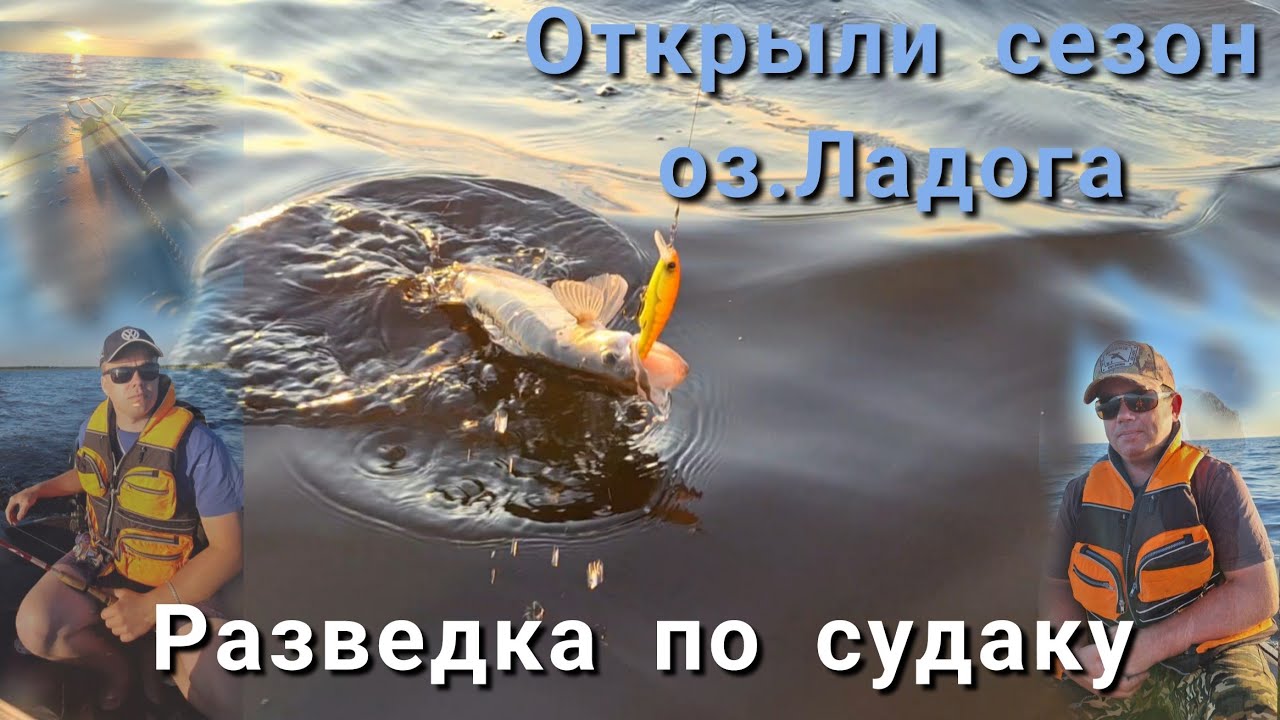 УДАЧНАЯ РАЗВЕДКА ПО СУДАКУ. оз. ЛАДОГА. СУДАК. ЩУКА.