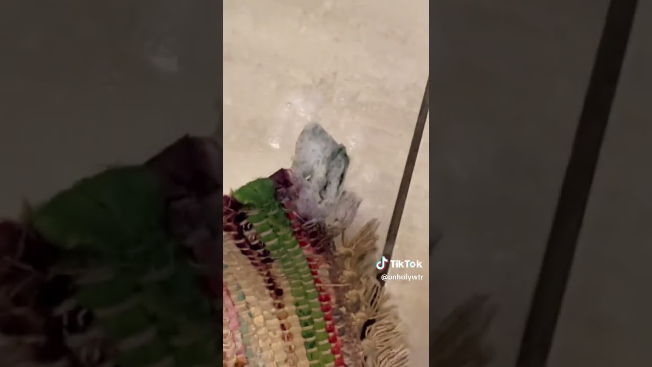 TOUGHEST STAINS EVER! Liquid green Chlorophyll spilled on a carpet is removed with Unholy Water