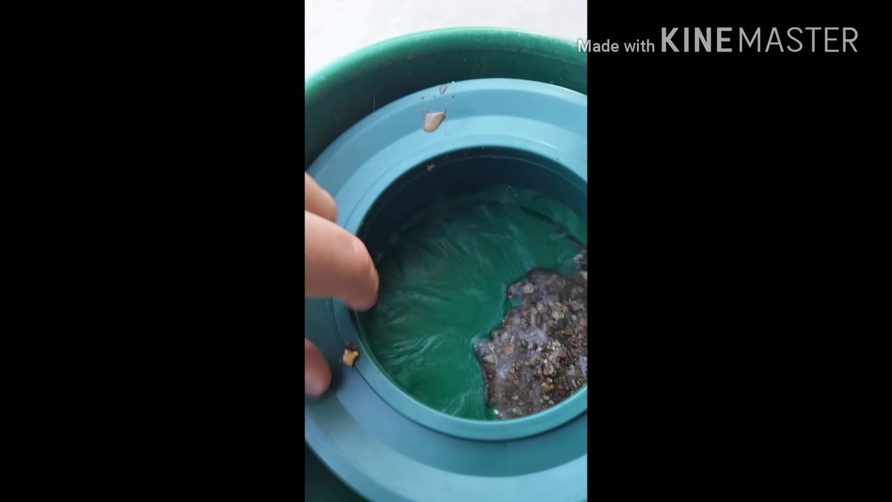 Banjo pan sluice pt2