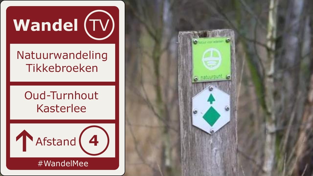 Wandeling in natuurgebied Tikkebroeken Oud-Turnhout en Kasterlee | wandelen in de Kempen | Wandel TV