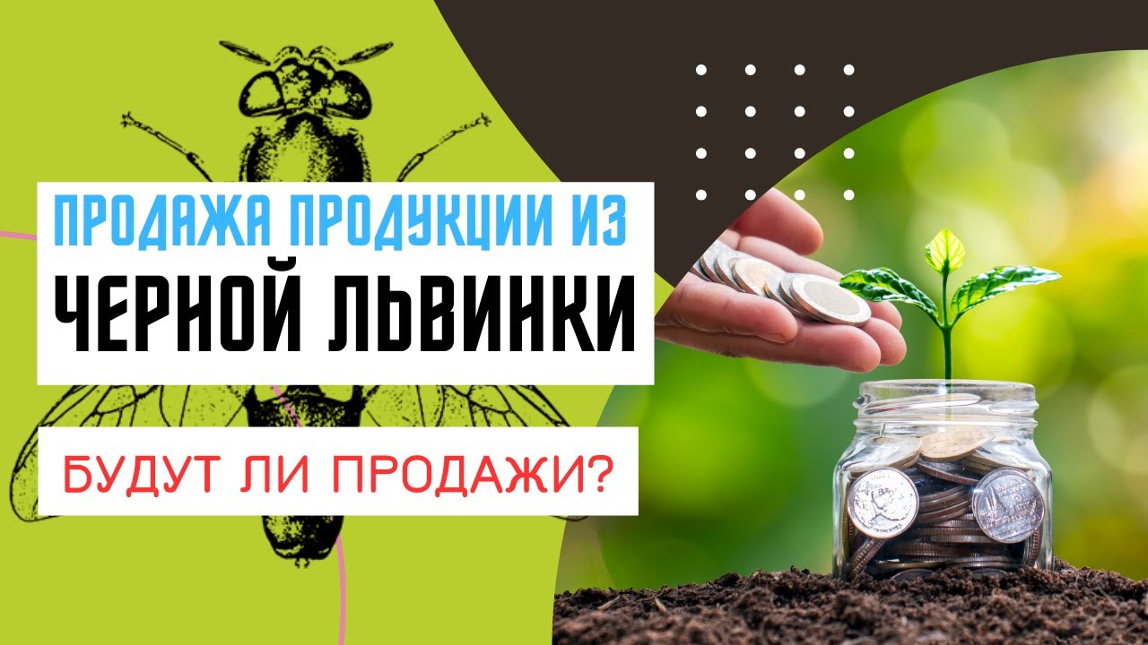 Продажа продукции из чёрной львинки. Кто продаст за вас?