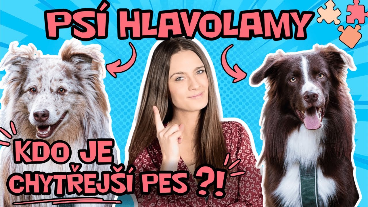 MOJI PSI VS. HLAVOLAMY 🐶! Kdo je chytřejší?