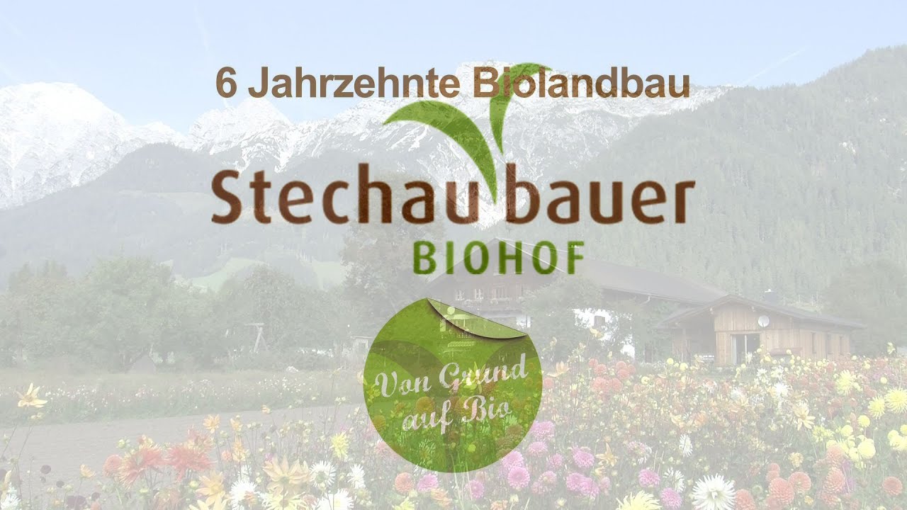Biohof Stechaubauer in Saalfelden im Salzburger Land
