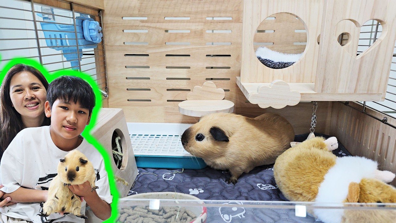 ไข่ตุ๋นย้ายบ้านใหม่อีกแล้ว | น้องบีม