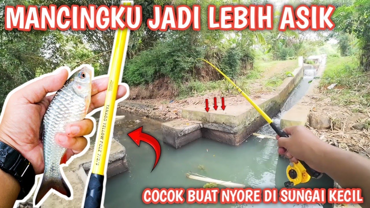 INI DIA SET PIRANTI PALING ENAK BUAT MICRO FISHING‼️ RINGAN, SENSITIF, DAN GAK RIBET 🎣🔥