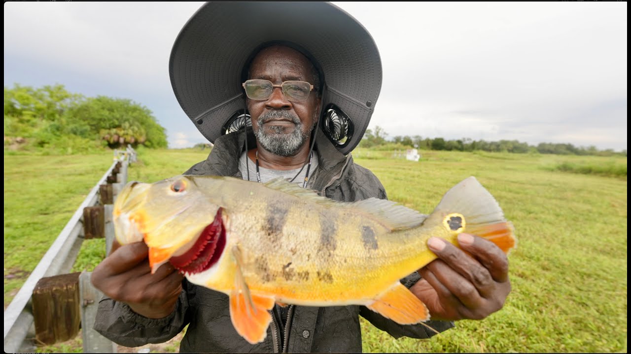 MEET THE FISH "TECHNICIAN" (Country Style) He's really Good.