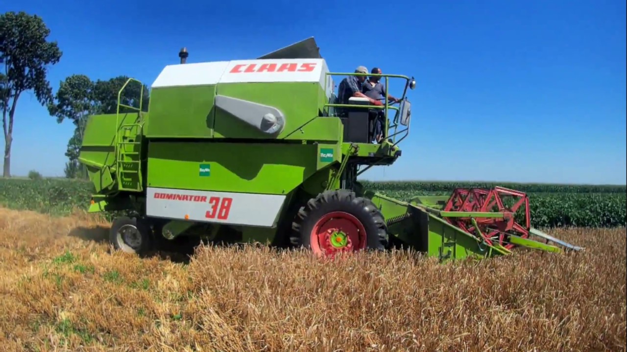 Збираємо урожай комбайном Claas dominator 38