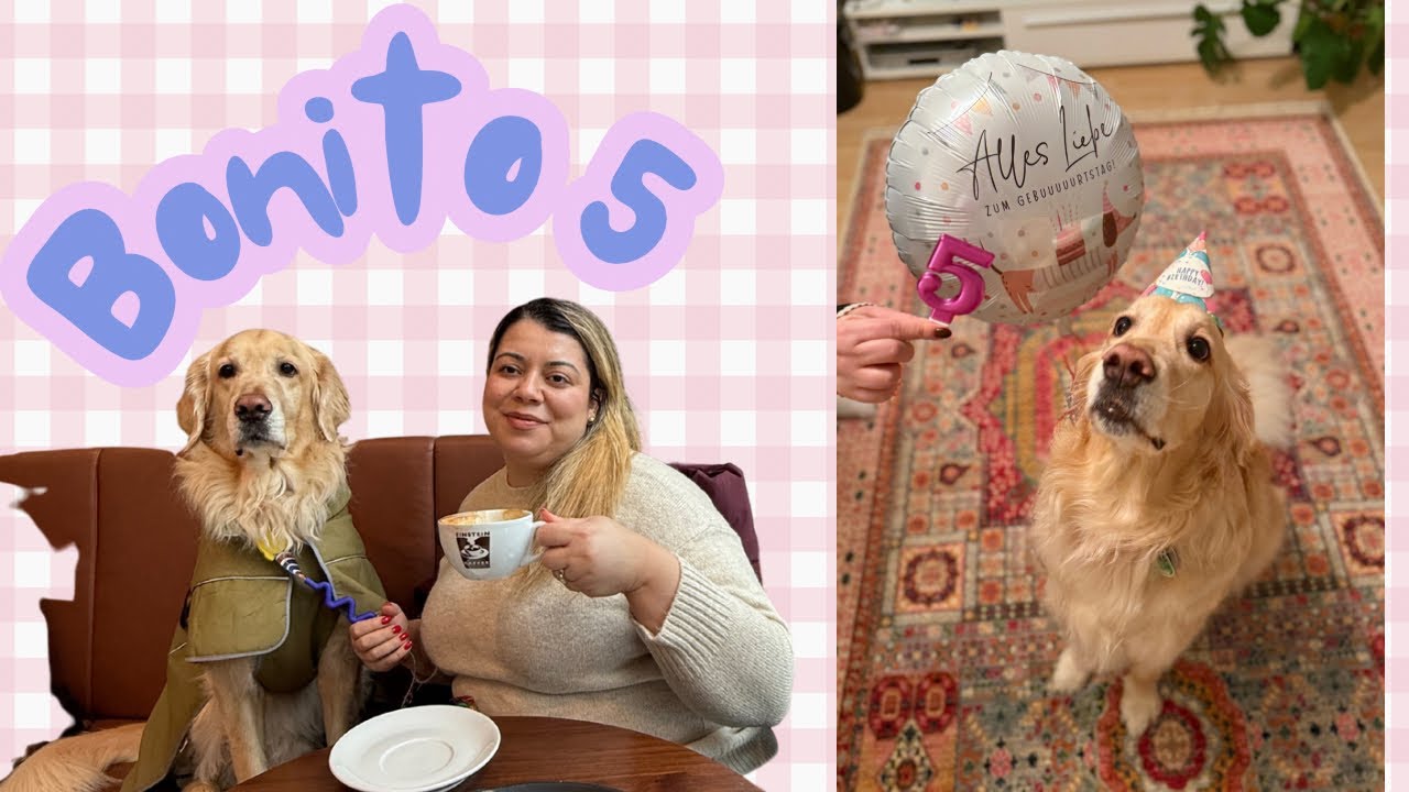 Bonito 5 Yaşında! Doğum Günü Alışverişi ve Kutlama 🎂🐾  Golden🤍