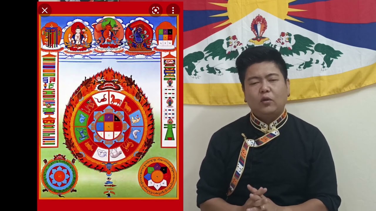 སྲིད་པ་ཧོ/སྲིད་པ་འཁོར་ལོའི་ཁྱད་པར།གནས་དུས་གང་དུ་སྒྲིག་བཤམས་བྱེད་དགོས་མིན་སྐོར། Sipa Khorlo / Sipa ho
