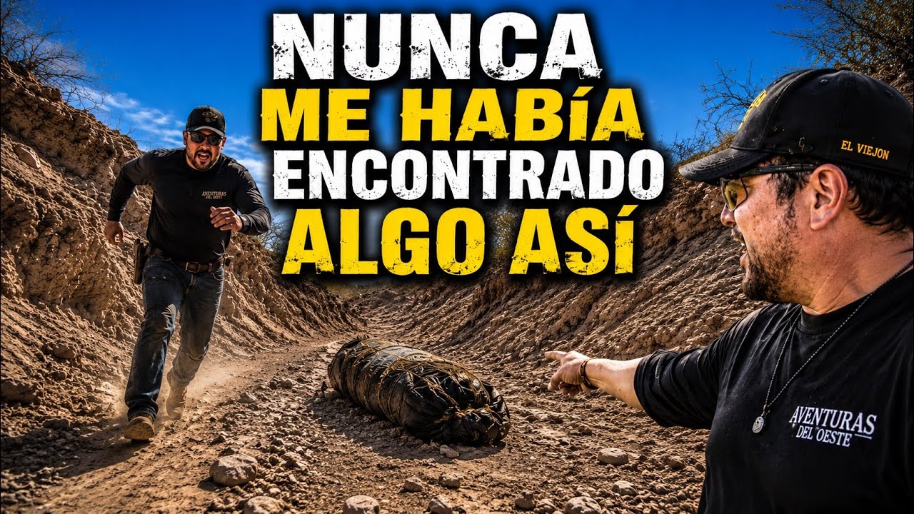  AVENTURA 548 QUIÉN LA PONDRÍA Y PORQUÉ? LO QUE UNO SE ENCUENTRA EN CADA AVENTURA 