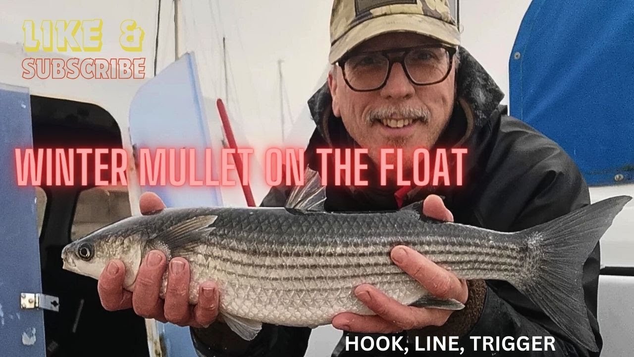 WINTER MULLET ON THE FLOAT, OFF THE BACK OF THE BOAT.