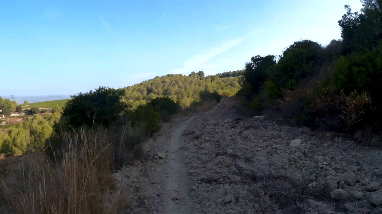 Corriol Torrelletes Penyafort