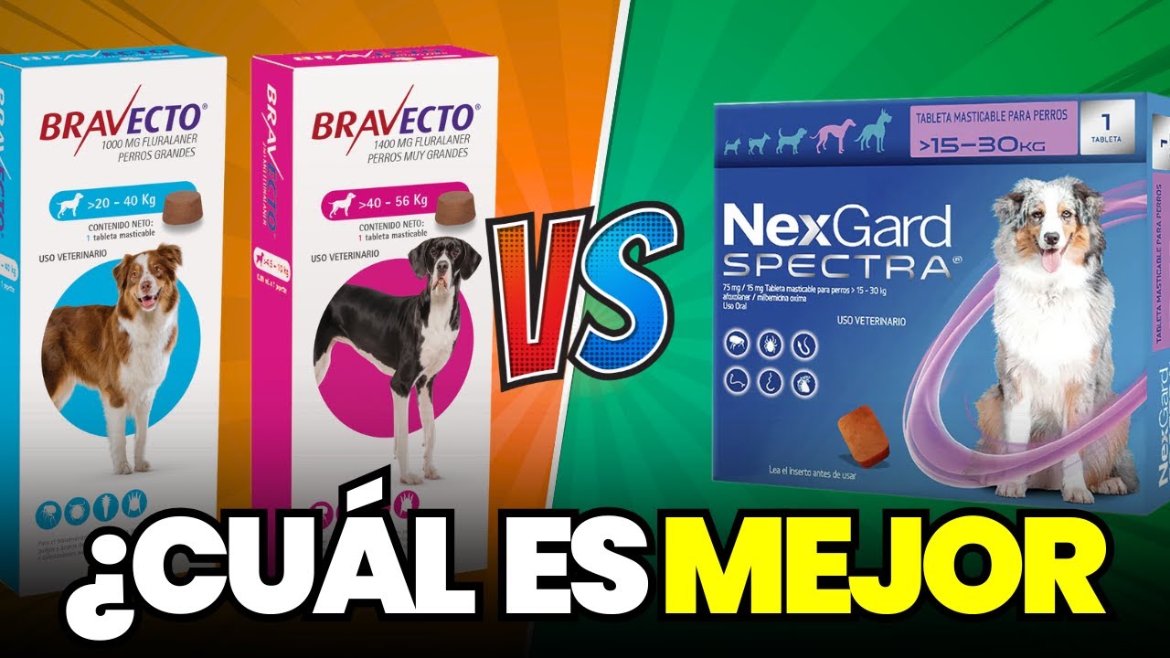 Bravecto vs Nexgard ¿Cuál es mejor? 🤔