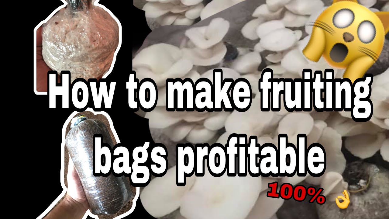 Tips and how to make fruiting bags